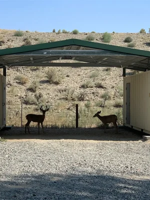 Domo Defensa - Sistemas de Techado sobre contenedores